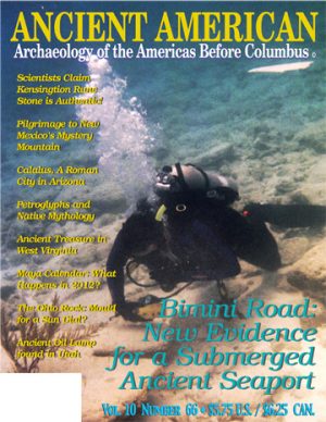 Volume 10, Issue 66: Bimini Road: New Evidence for a Submerged Ancient Seaport